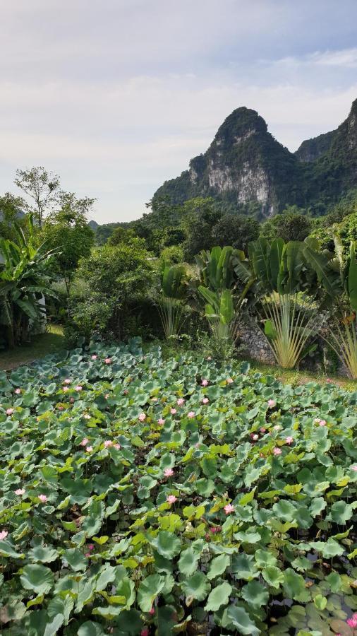 Aravinda Resort 宁平 外观 照片