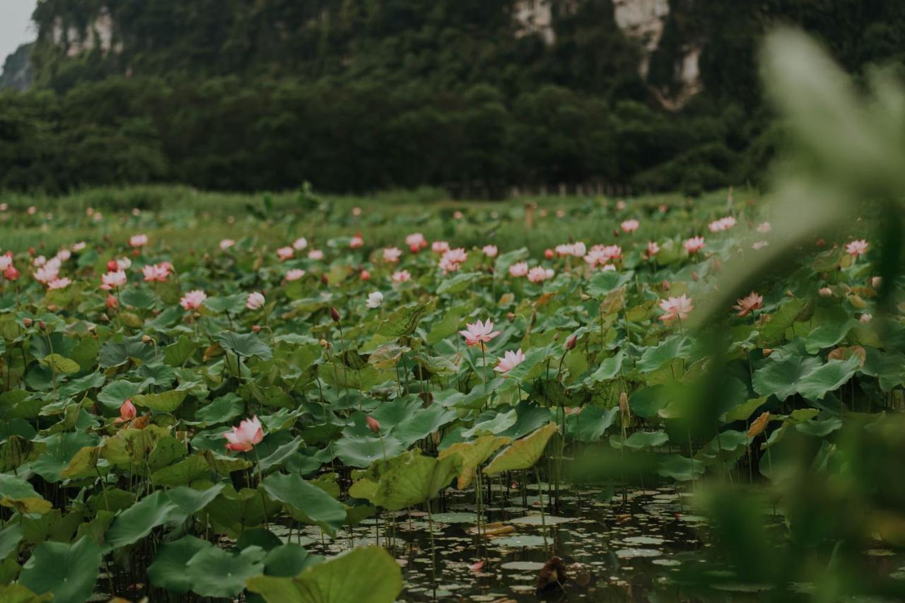 Aravinda Resort 宁平 外观 照片